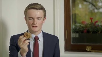 What is Vicuña Royale?