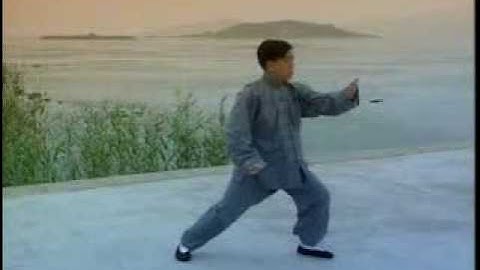Training of Fajing in traditional Taiji Quan Yang Style.