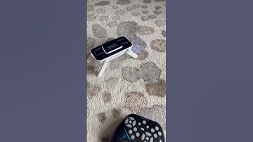 Smart Robot Dog Interactive STEM Pet with Touch Sensors #robot