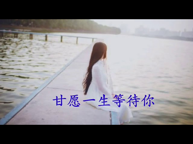 甘愿一生等待你~陈雷/杨静