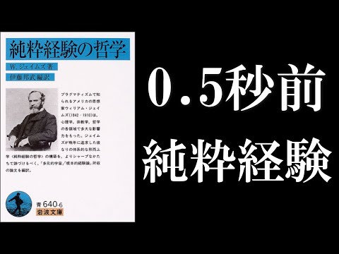 ウィリアム・ジェイムズ『純粋経験の哲学』読解：純粋経験とは何か【『多元的宇宙』×『根本的経験論』】