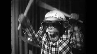 Download Lagu DJ SS - Lost in New York MP3