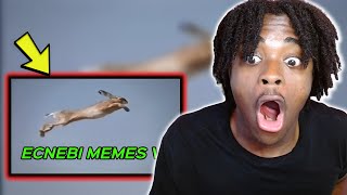 REACTING TO ECNEBI MEMES V1