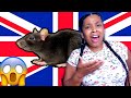 American Reacts to Top 10 Lies You Believe About Britain