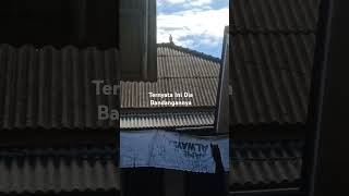 Menangkap bandangan dengan pipa tulup stenlis #merpatilombok