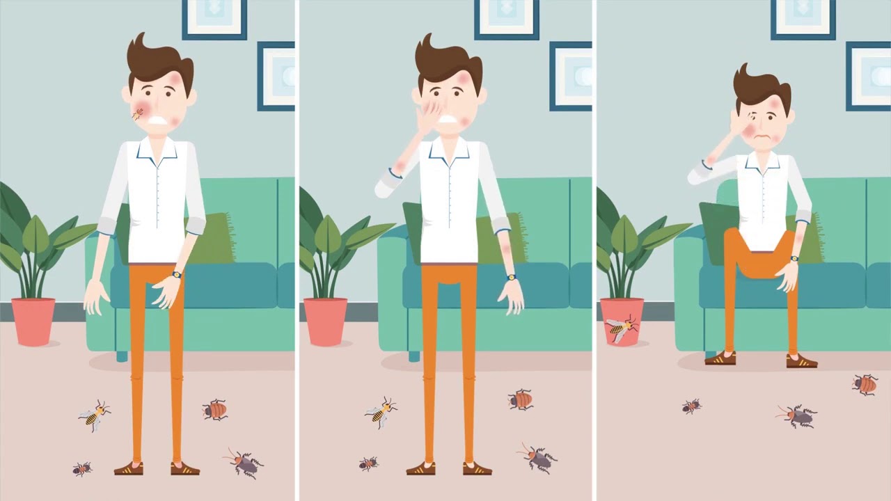 Best Pest Control in Langley