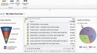 Microsoft Dynamics CRM Online - Real-Time Dashboard Demo