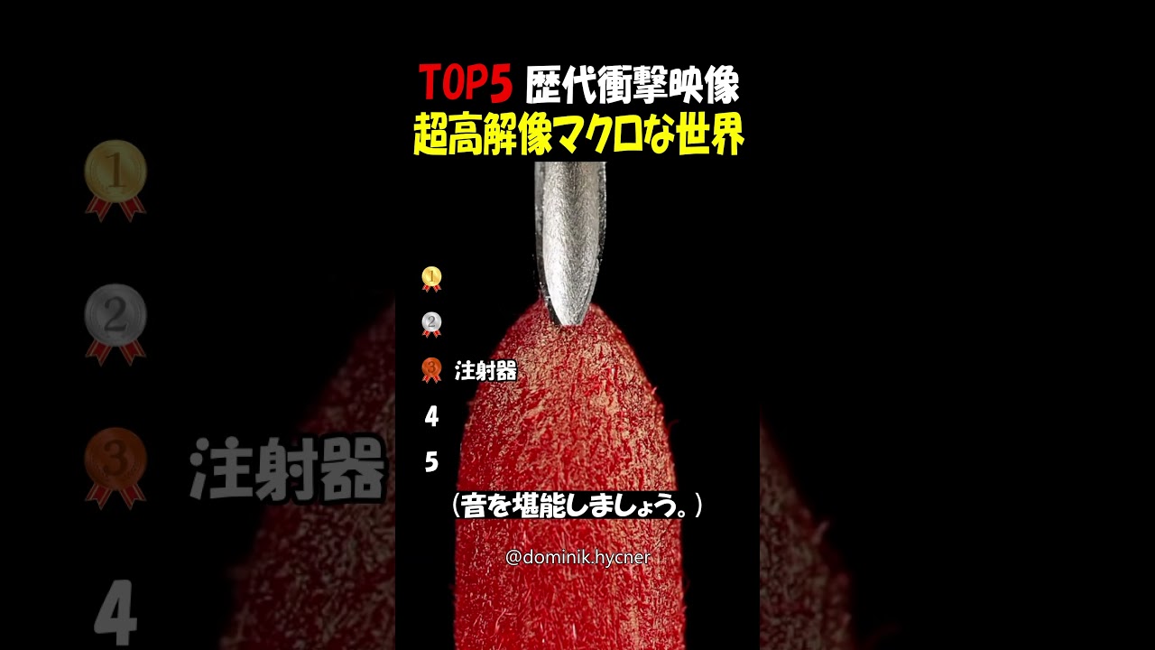 超高解像でミクロな世界