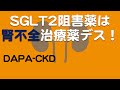 【SGLT2阻害薬】は腎不全の治療薬death。[DAPA-CKD]