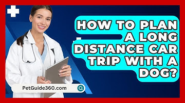 How To Plan A Long Distance Car Trip With A Dog? - PetGuide360.com