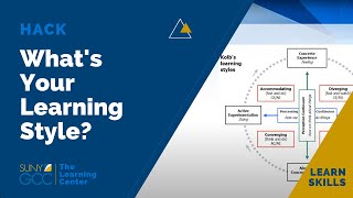 Hack Your Learning Style: Kolb Review (Bridging the Gap 4)