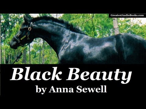 Video: Kas yra juodasis gražuolis – sužinokite apie juodųjų grožio baklažanų auginimą