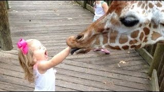KIDS vs ZOO ANIMALS Compliation! (Funny Kids and Animals at ZOO) by Cute & Funny Animals 361 views 4 years ago 10 minutes, 8 seconds