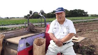 太陽のIZUMI　干し芋畑から2021年10月収穫スタート