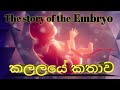 The story of the Embryo | කලලයේ කතාව | Sirasa Dancing Star Seoson 3
