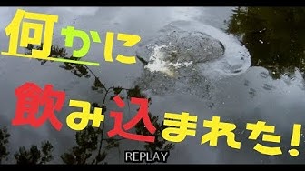 決定的瞬間 Youtube 決定的瞬間 Youtube