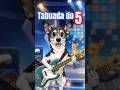 Tabuada do 5 Cantando 🎵 Aprenda Agora! #matematica #tabuada