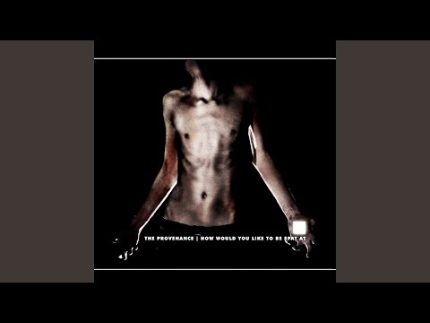 The Provenance — Kick You So Hard