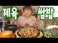 입짧은 햇님의 먹방!mukbang(채팅)(제육쌈밥,케이크 170424) 입짧은 햇님의 먹방!mukbang(채팅)(제육쌈밥,케이크 170424)