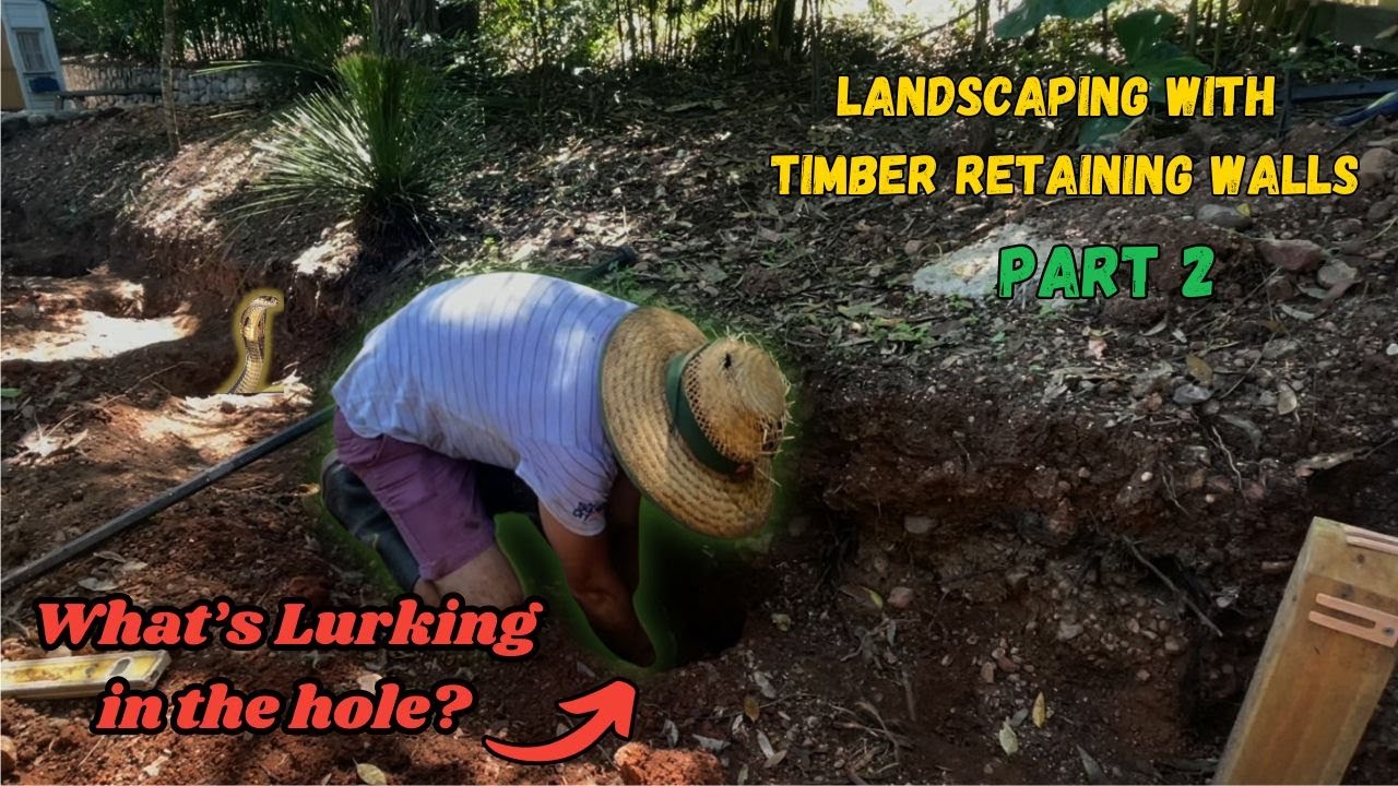 Landscaping with Timber Retaining Walls Part 2 - YouTube