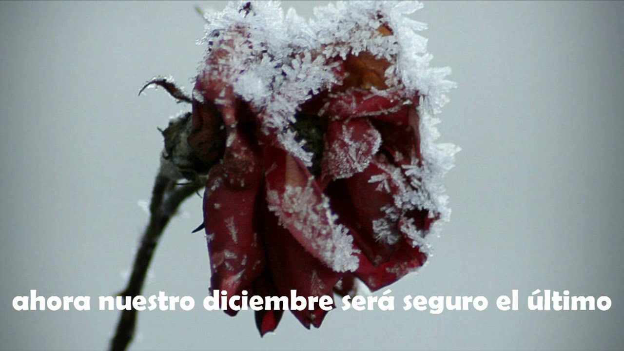 Thriving Ivory Our December (spanish) YouTube