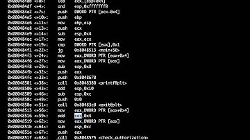 [Buffer Overflow Workshop] gdb Investigate Assembly Reference