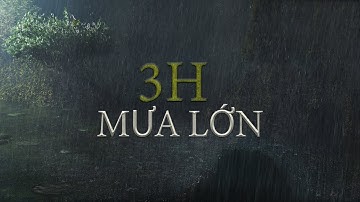 3H Mưa Rừng, Tiếng Mưa Lớn Trong Rừng Núi Hoang Dã - Cơn Mưa Đêm, Nhạc Thư Giãn - Phile Rain Sounds