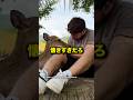 奈良の鹿を撫でる動画に驚愕 #shorts #プチ知識 #海外の反応 #日本