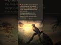 🇪🇸 Los científicos chinos descubren el fósil de aves de 150 millones de años de antigüedad, sugir...