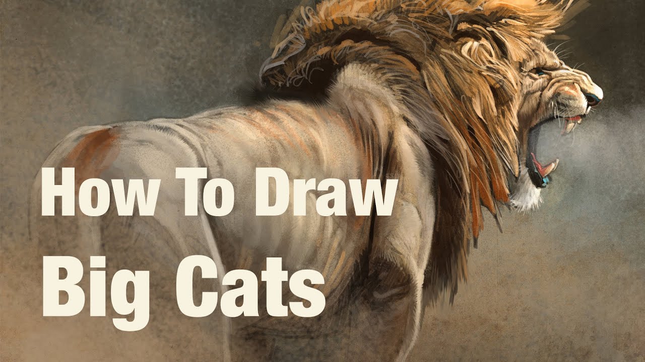 Drawing Lessons How To Draw Big Cats Promotion Youtube