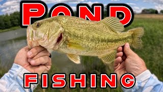 Tips To Catch More Fish While Pond Fishing!