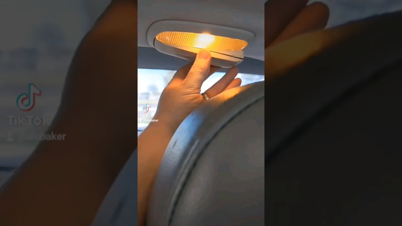 Did You Know that this is a thing? 