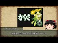 【ゆっくり解説】ゆっくり霊夢のアニメ推し語り【カイバ編】