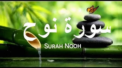 سورة نوح @_mohammadmamdouh2049