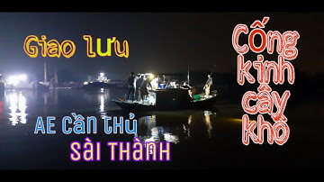 Kinh cây khô huyện Nhà Bè có cá gì theo chân dân dã miền quê official nhé
