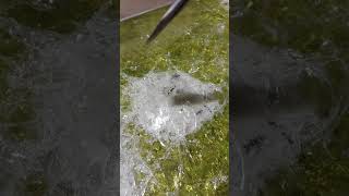 Bulletproof Glass vs 9mm & High-Powered Rifle! The Damage Will Surprise You