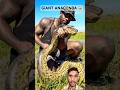 Giant Anaconda Hath Me Pakda 😱 | Tarzan Level Courage #anaconda #Snakeshorts @THEREALTARZANN