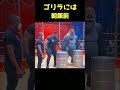 ゴリラ「これやっちゃっていいの？」 #shorts #animals