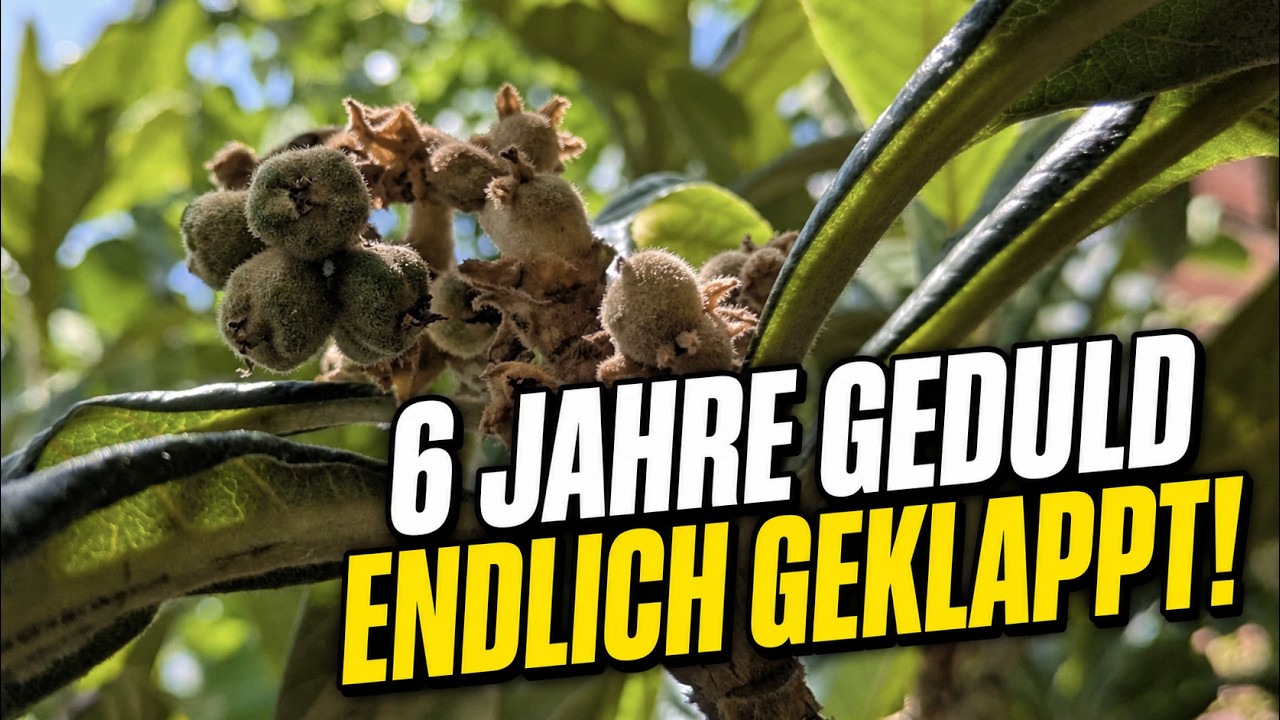 6 Jahre Geduld – endlich hat es geklappt! 😍