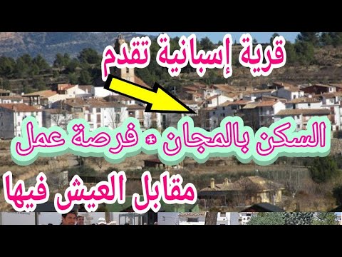 فيديو: كيف تقدم العيش معا