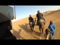 Sahara Desert. Camel RR Test drive.