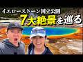 【絶景&奇跡】イエローストーン国立公園の7大絶景を巡ったら奇跡の遭遇連発！