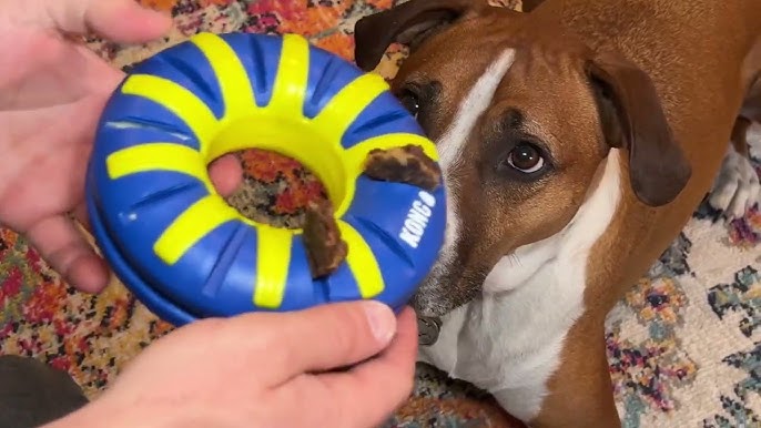 KONG Rewards Tinker Treat Dispensing Slow Feeder Dog Puzzle Toy