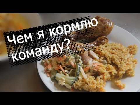 Видео: В золотом корале подают завтрак?