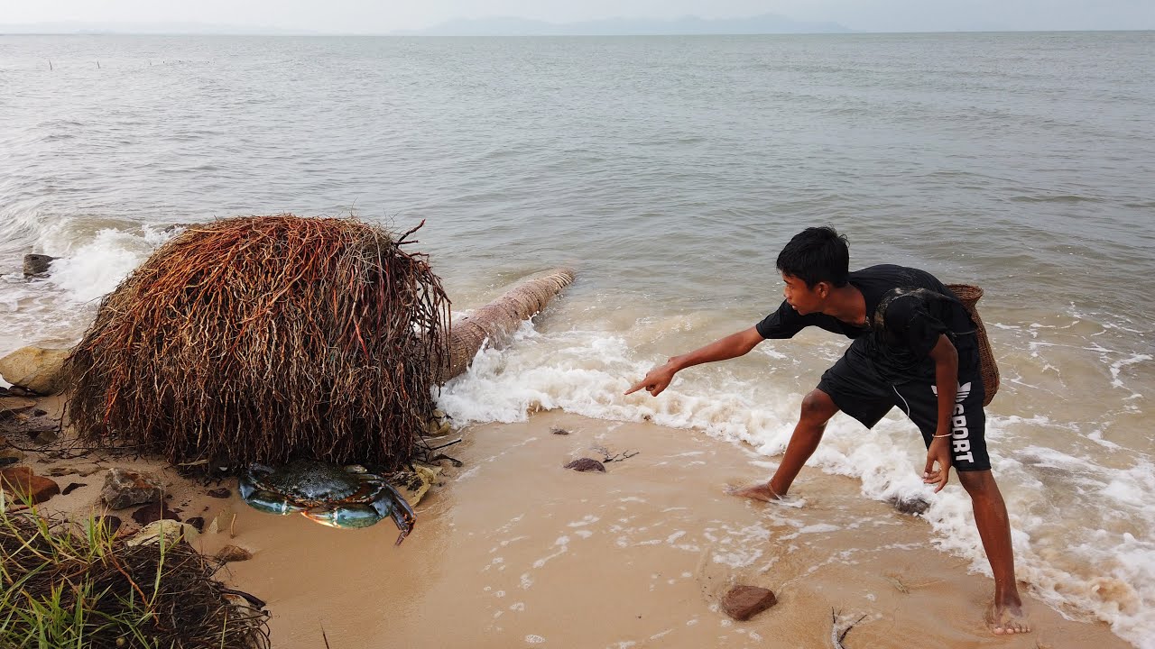 Amazing Catching Huge Sea Crabs at the Beach after Rain