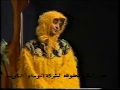 مسرحية الثعلب الكويتية 1
