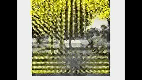 Optic Flow - Agent motion through a neighborhood