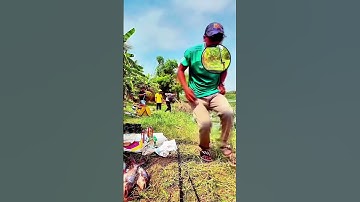 50k 1 con quẹo lựa #camr1 #camr2 #camr3 #fishing #caucatrasong