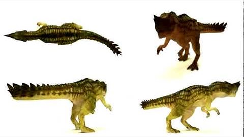 T-Rex Walking Animation