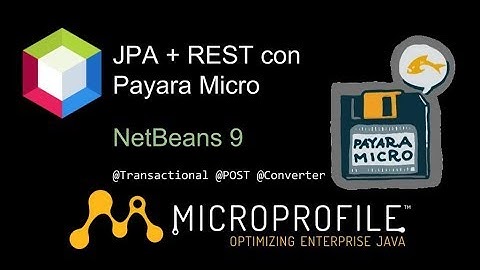 JPA + REST en Payara Micro - Formato de fechas e insertando registros